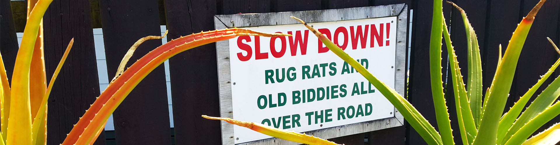 Wairoa Riverside Motor Camp and